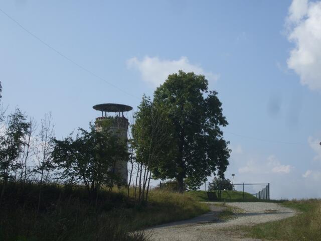 Der erste Blickkontakt !