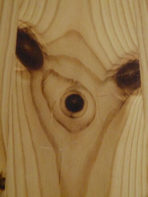 KNOTEN-Gesicht "Hündchen . werner hahn foto