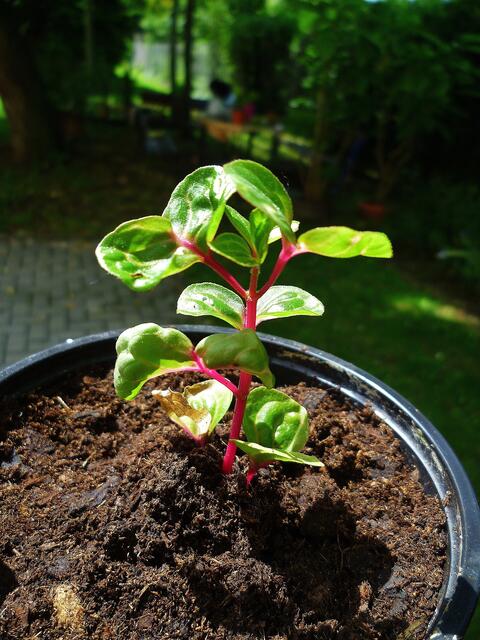 .... Senker am 30.6.2012 !
