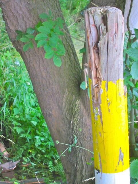 Hier soll der Wanderweg erst richtig beginnen und endet abrupt