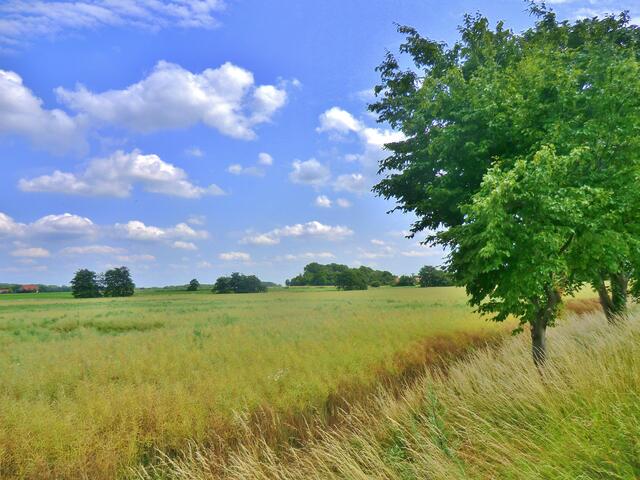 zwischen Peine und Handorf.