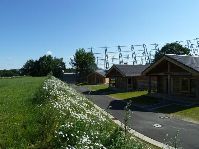 Von den Hütten guckt man gegen die vielen weißen Blumen,die dann den Winter vorgaukeln.