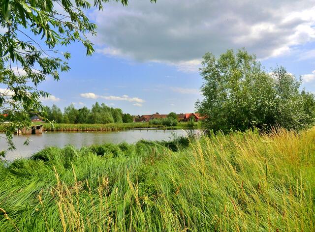 Teich vor Kl. Ilsede.