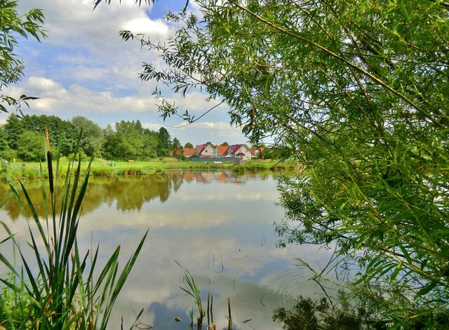 Teich vor Kl. Ilsede.