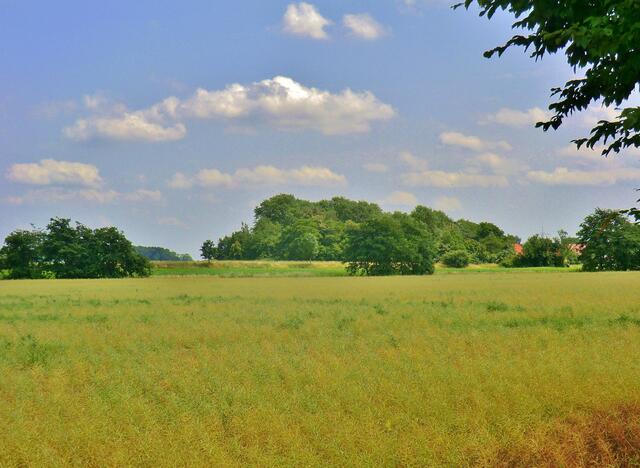 zwischen Peine und Handorf.