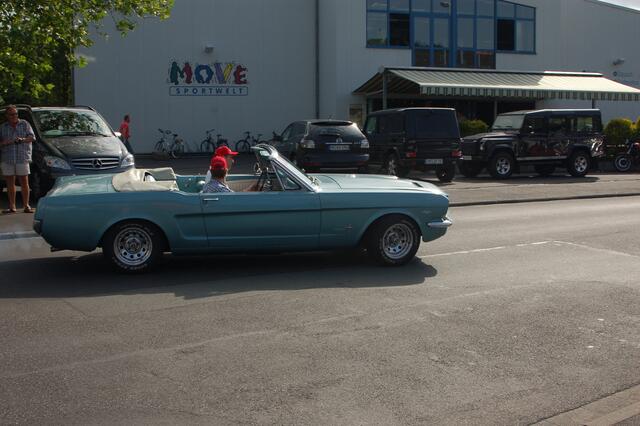 Der Mustang im Profil.