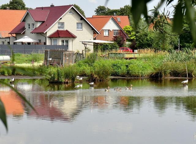 Teich vor Kl. Ilsede.