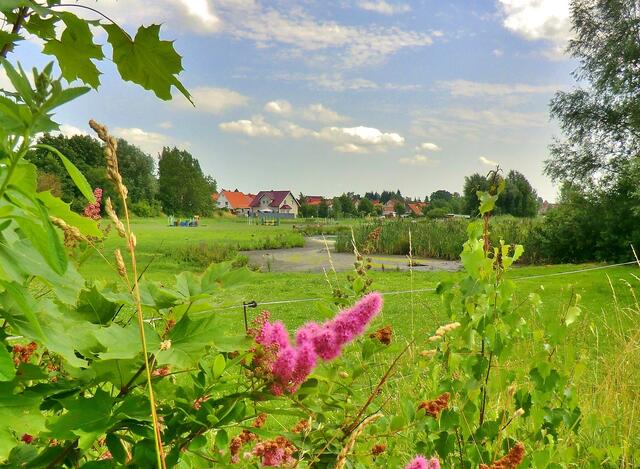 Teich vor Kl. Ilsede.