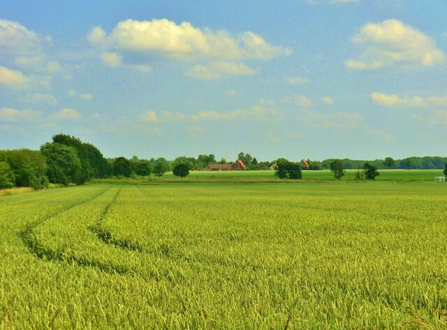 zwischen Peine und Handorf.