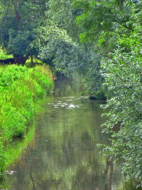 Fuhse bei Ilsede.