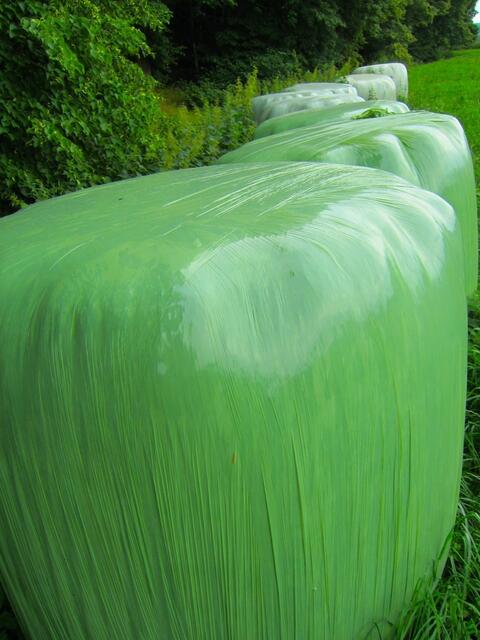 Silage