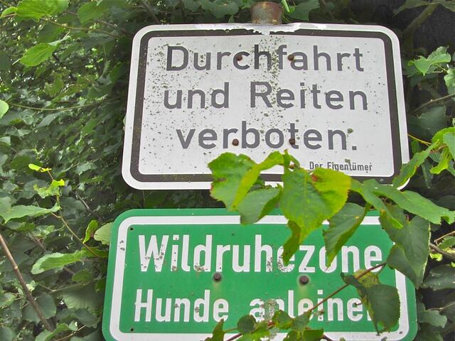 Da durfte ich zum Glück in den Wald gehen - sonst hätte an dieser Stelle meine Expedition geendet :-)