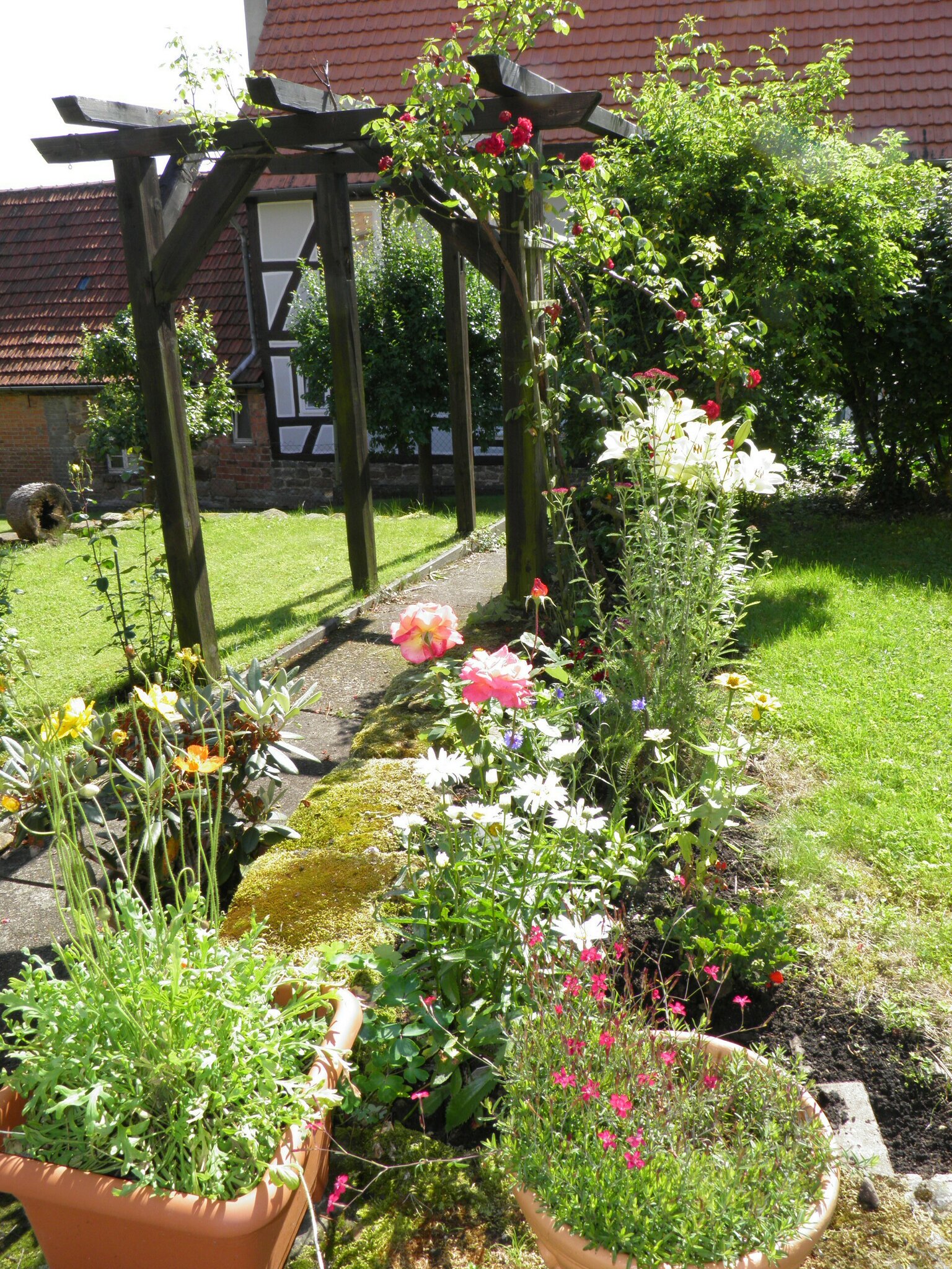 ...unser wilder Garten hinterm Haus Bad Arolsen