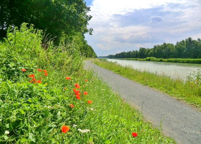 zurück zum Kanal.