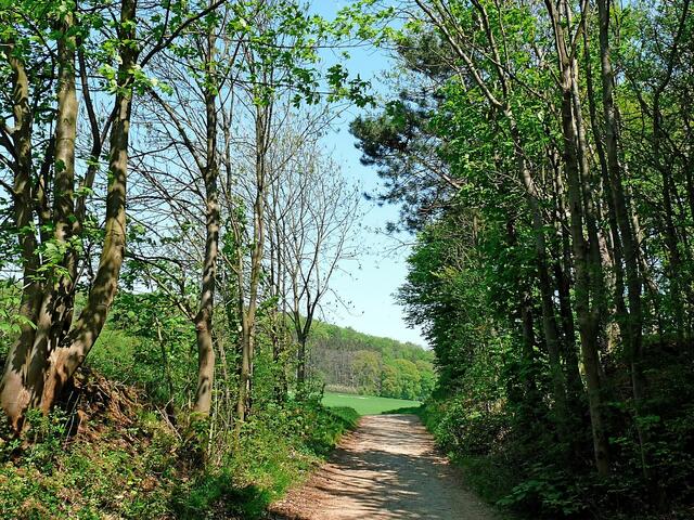 Weg zum Süllberg vom Ende der Süllbergstraße aus