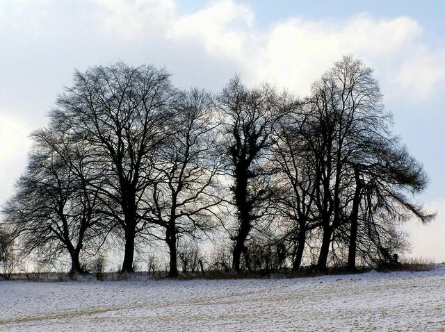 ...sieht zu jeder Jahreszeit...