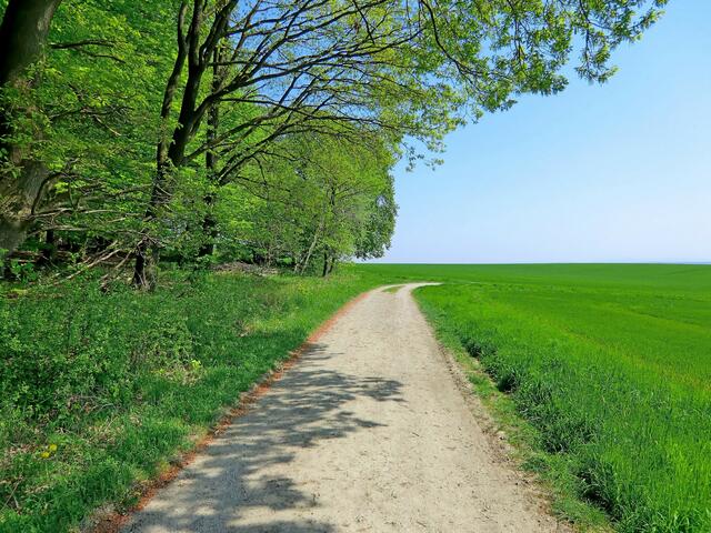 Weg am Südrand des Süllbergs