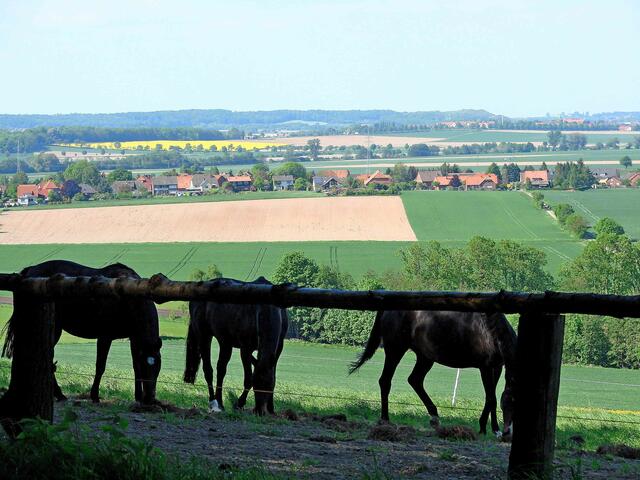 Ausblick Richtung Nordosten