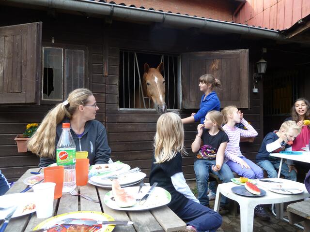 Interessierter Zaungast beim abendlichen Grillen