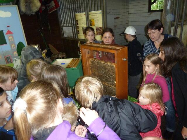 Marion Dunker und ihre Bienen im Pferdestall