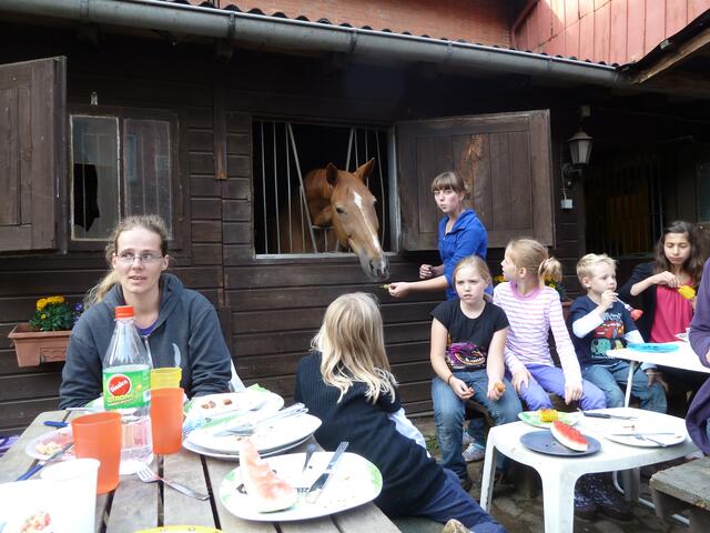 Das Leben ist (k)ein Ponyhof!