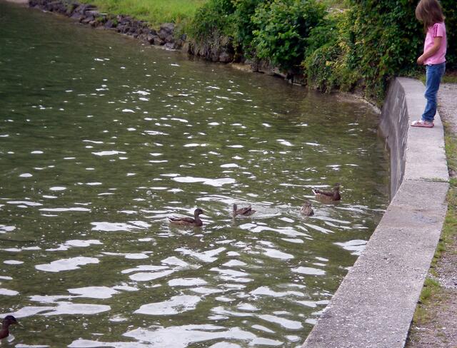 Zu gerne würde ich zu Euch rein kommen