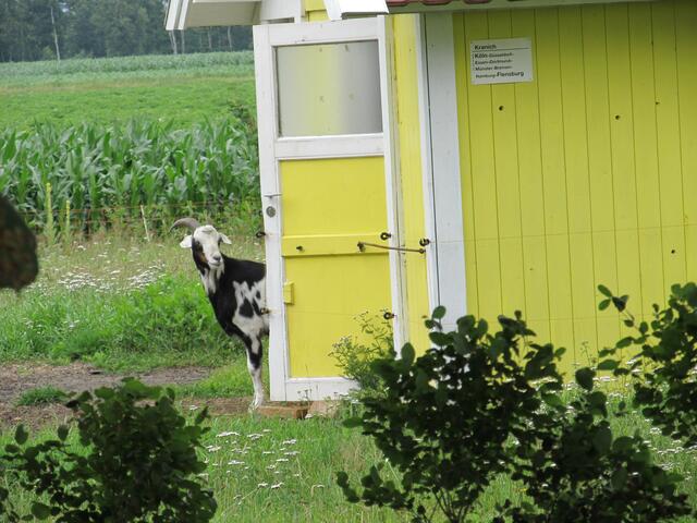 ..naa, wer schaut da?