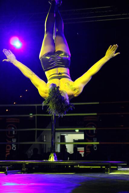 Poledancerin Nadin Rebel