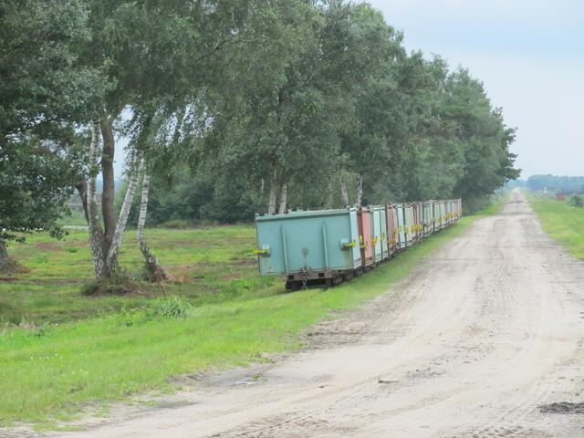 Torfabbau am Uchter Moor