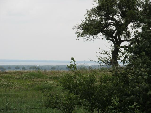 Blick aufs Steinhuder Meer..