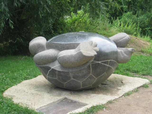 Schildkröte in Not ???............ Nein!