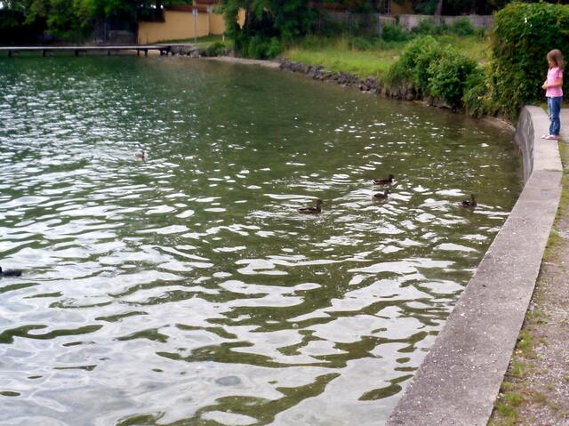 Endlich sind meine Freunde da