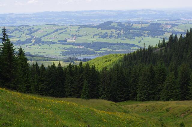 Obwohl die Luft nicht ganz klar ist, haben wir eine herrliche Aussicht