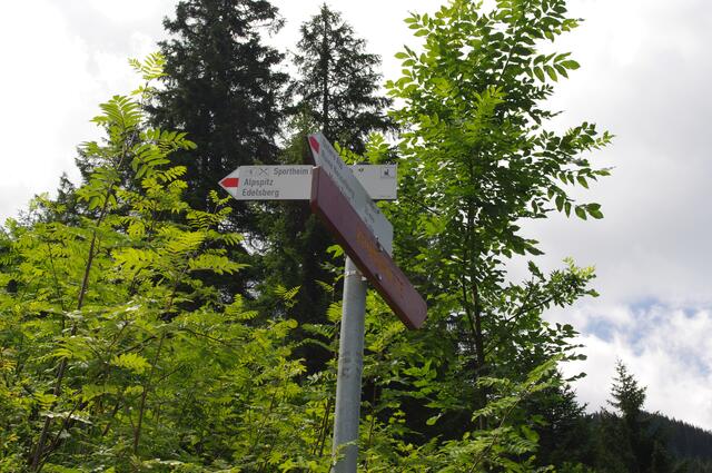 Links halten. Der Weg wird jetzt schmaler (aber immer noch leicht begehbar)