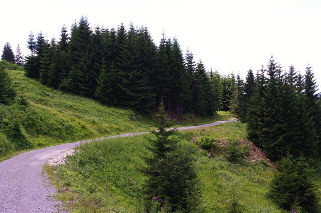 Der (längere) Rückweg führt über die bequeme, sonnigere Fahrstraße