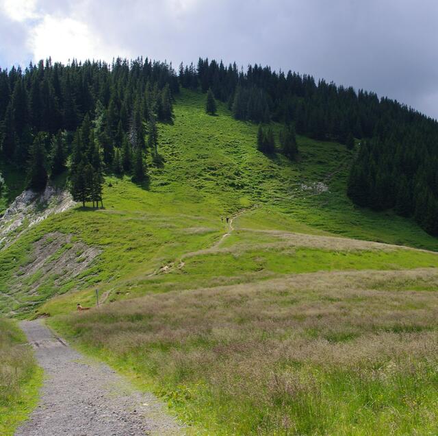 Der Weg zum Edelsberg