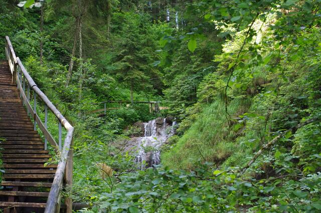 Über größere und kleinere Wasserfälle bahnt sich der Bach den Weg durch den urwüchsigen Wald nach unten.