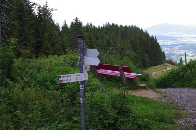 Den Rückweg wählen wir über die längere, aber nicht so steile Fahrstraße Richtung Maria Trost