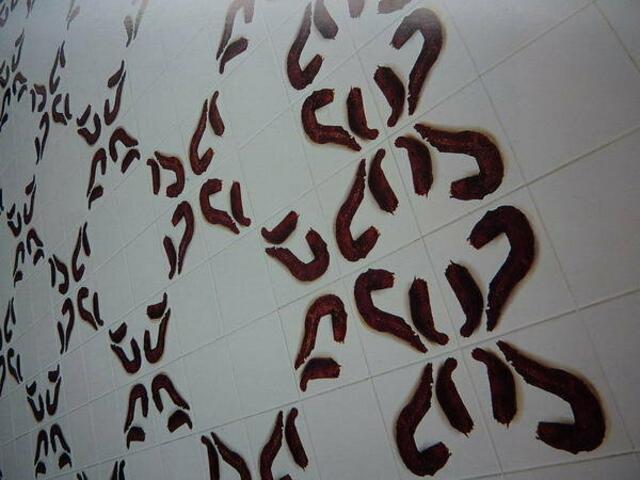 SCHEIßE als "Kunst" ausgerufen: Jan HOET d9. Über dieses "Kunstwerk" bin ich gelaufen - documenta Halle. Ich machte dem HOET den Prozess, der als "Fall documenta" in die JUSTIZ (NJW, Hufen ...) - Volle SCHEIß-Kunst gefördert mit Steuerzahlergeld aus Hessen. Das interessiert keine SAU.