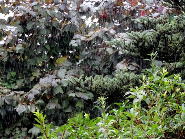 Der Garten freut sich.....