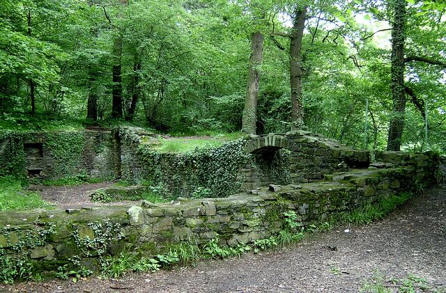 Die "Burgruine Rodenberg". Erbaut wurde die Burg von 1246 bis 1248, zerstört 1301.