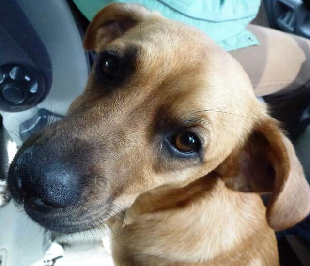 Jack, schau mich nicht SO an!