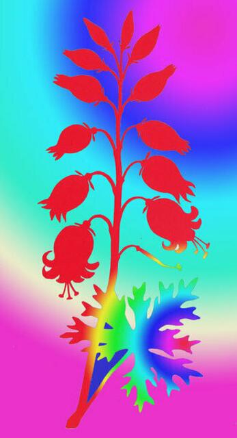 ars evolutoria mutierter Scherenschnit (in Farben - Nodisage) POR - Maltzahn S. 40 - werner hahn BILD