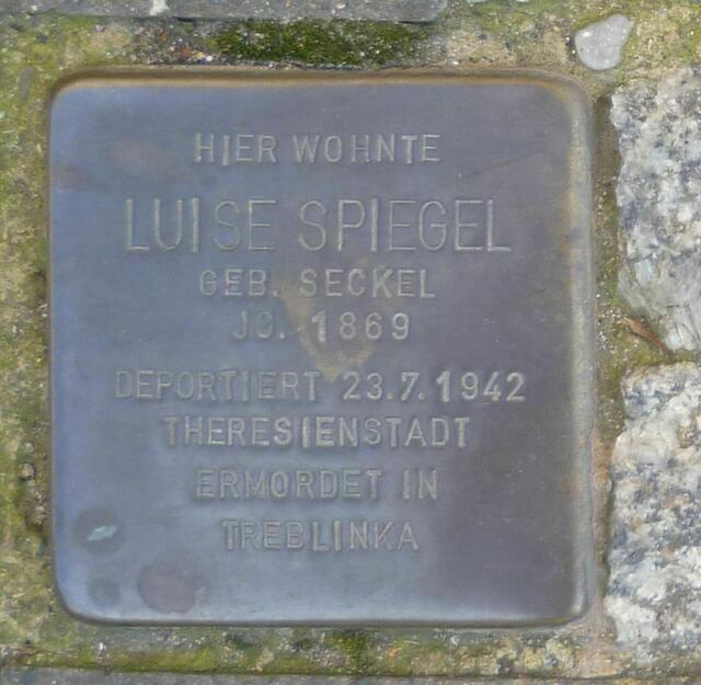 Luise Spiegel, Harnischstraße 6