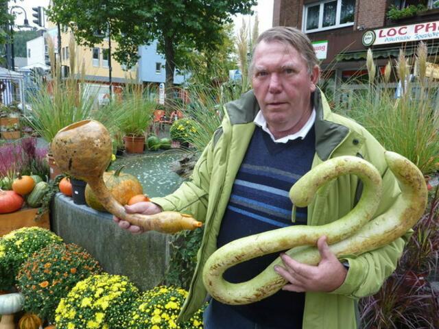 FAN: Gladenbacher KÜRBISMUS ... werner hahn bild
