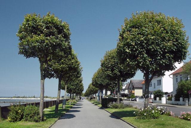 Die Strandpromenade von Laboe