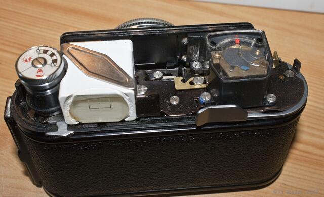 Unter den Rock geschaut.