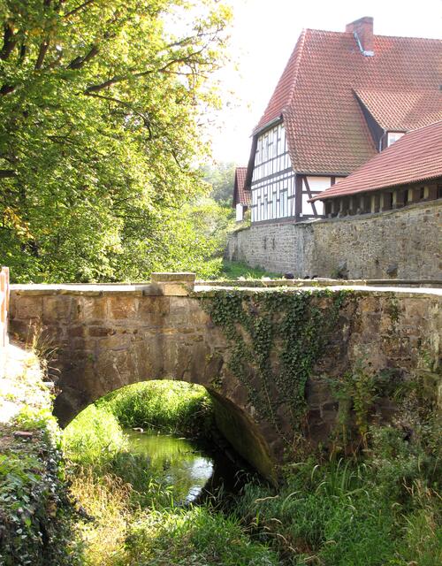 Hinter dem Kloster und einem See breitet sich der Klosterforst aus.