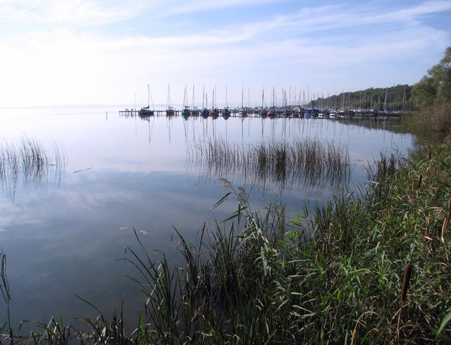 Und natürlich ist der größte See Niedersachsens auch ein Segelparadies.