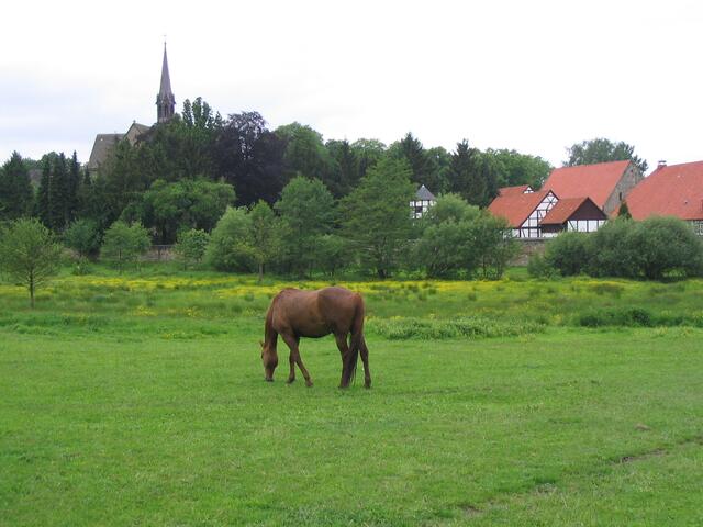 Besser erhalten ist das Kloster Loccum. Es ist eine romantische Anlage in schöner Umgebung.